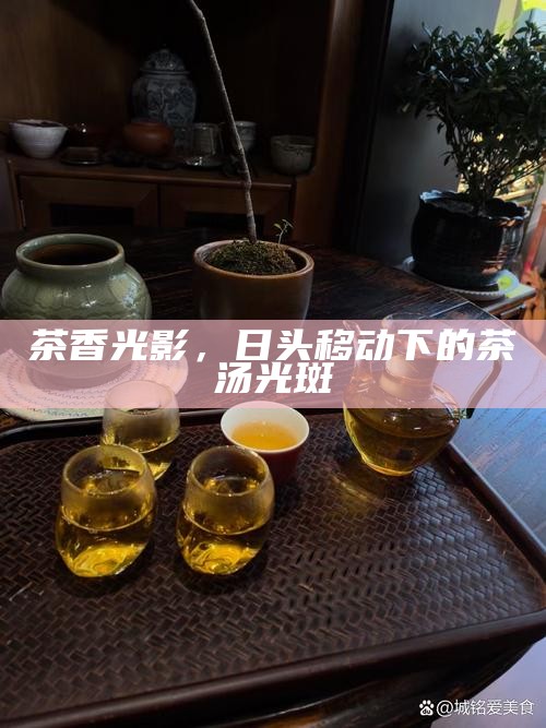 茶香光影，日头移动下的茶汤光斑